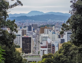 愛媛県における地方転職の傾向